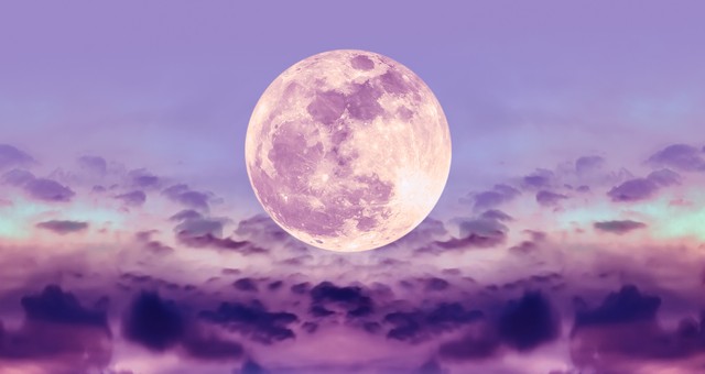 Living By The Moon – Video Course is Live!